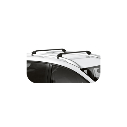 Barre Portatutto OvalBar System Modula Rails tetto aperti